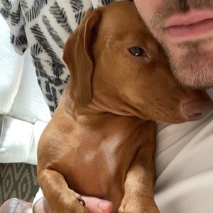 Meet your Posher, Hunter